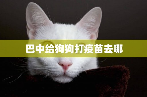 巴中給狗狗打疫苗去哪