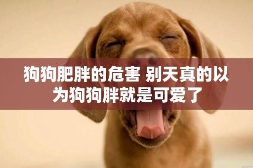 狗狗肥胖的危害 別天真的以為狗狗胖就是可愛了