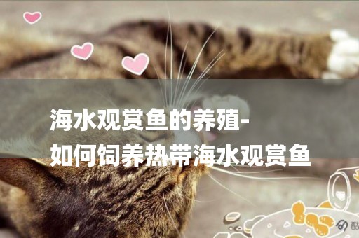 海水觀賞魚的養殖-
如何飼養熱帶海水觀賞魚
