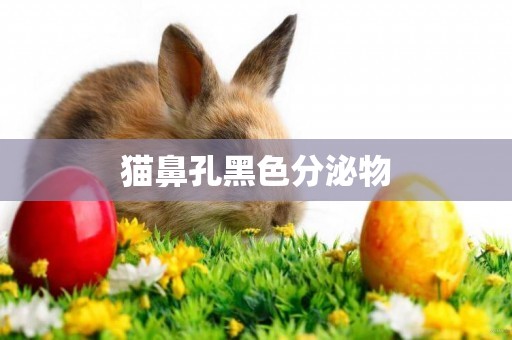 貓鼻孔黑色分泌物