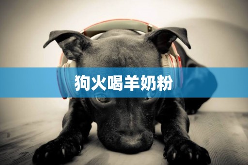 狗火喝羊奶粉