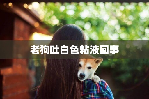 老狗吐白色粘液回事