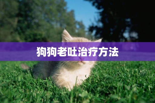 狗狗老吐治療方法