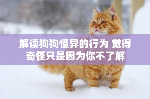 解讀狗狗怪異的行為 覺得奇怪只是因為你不了解