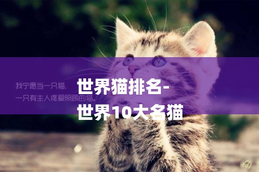 世界貓排名-
世界10大名貓