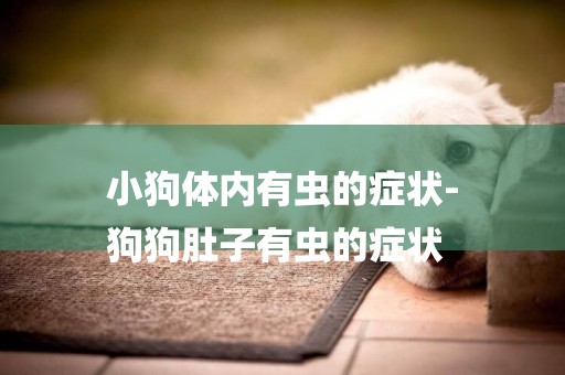 小狗體內有蟲的癥狀-
狗狗肚子有蟲的癥狀