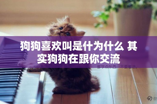 狗狗喜歡叫是什為什么 其實狗狗在跟你交流