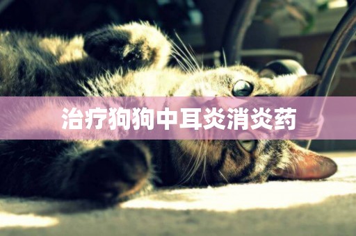 治療狗狗中耳炎消炎藥