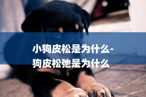 小狗皮松是為什么-
狗皮松弛是為什么