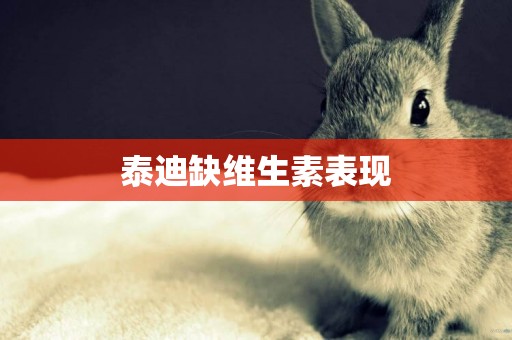 泰迪缺維生素表現