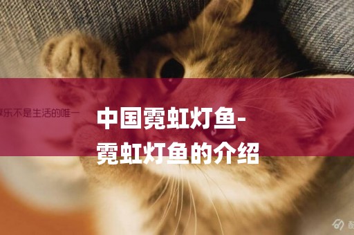 中國霓虹燈魚-
霓虹燈魚的介紹