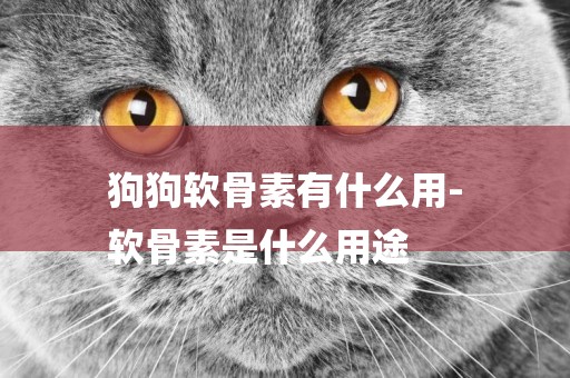 狗狗軟骨素有什么用-
軟骨素是什么用途