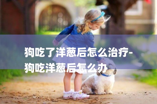 狗吃了洋蔥后怎么治療-
狗吃洋蔥后怎么辦
