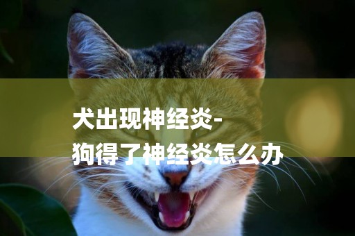 犬出現神經炎-
狗得了神經炎怎么辦