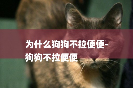 為什么狗狗不拉便便-
狗狗不拉便便