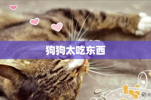 狗狗太吃東西