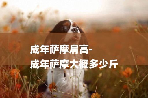 成年薩摩肩高-
成年薩摩大概多少斤