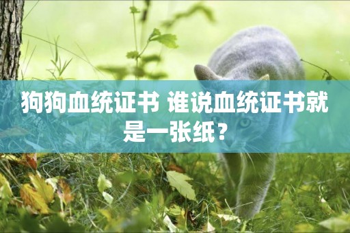 狗狗血統證書 誰說血統證書就是一張紙？