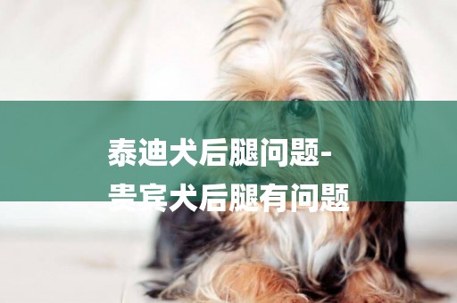泰迪犬后腿問題-
貴賓犬后腿有問題