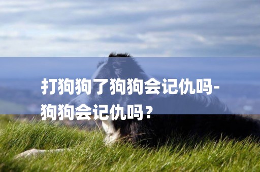 打狗狗了狗狗會記仇嗎-
狗狗會記仇嗎？