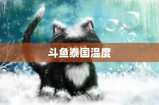 斗魚泰國溫度