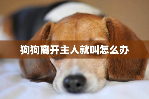 狗狗離開主人就叫怎么辦