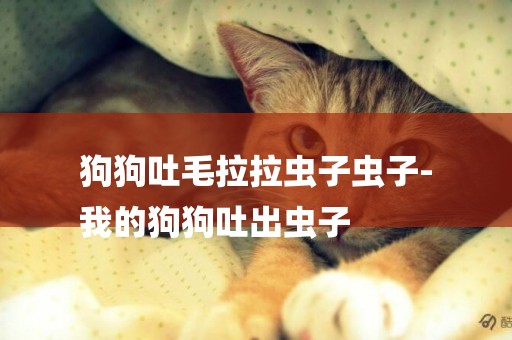 狗狗吐毛拉拉蟲子蟲子-
我的狗狗吐出蟲子