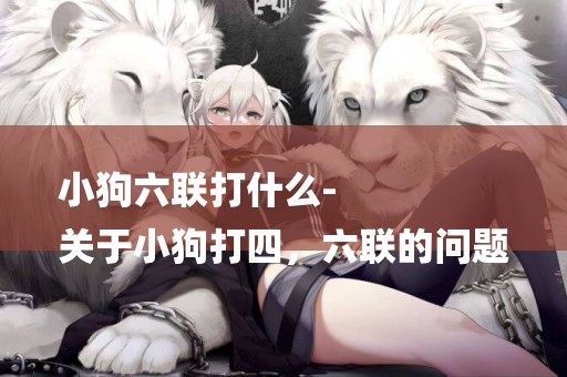 小狗六聯打什么-
關于小狗打四，六聯的問題
