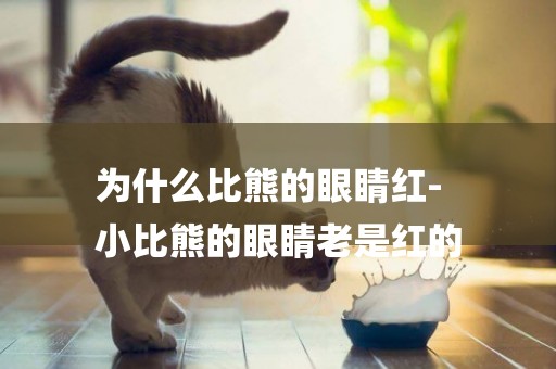 為什么比熊的眼睛紅-
小比熊的眼睛老是紅的