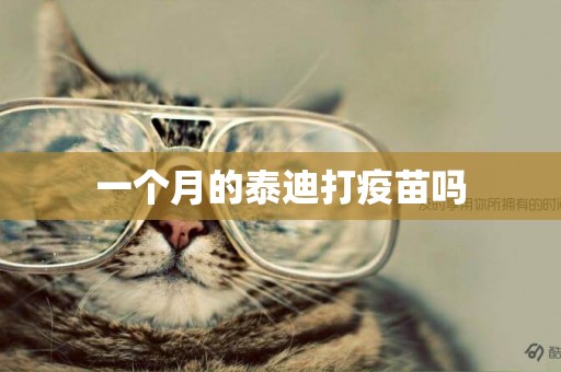 一個月的泰迪打疫苗嗎