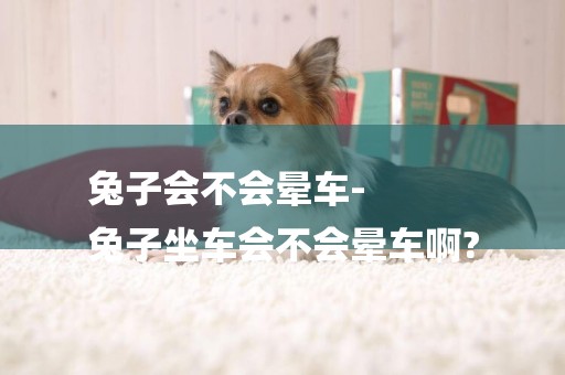 兔子會不會暈車-
兔子坐車會不會暈車啊?
