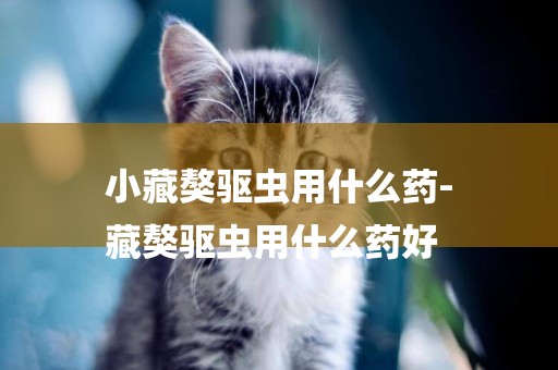小藏獒驅蟲用什么藥-
藏獒驅蟲用什么藥好