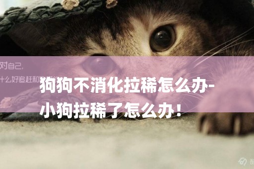狗狗不消化拉稀怎么辦-
小狗拉稀了怎么辦！