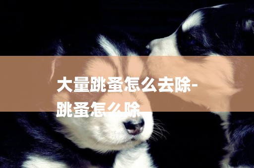 大量跳蚤怎么去除-
跳蚤怎么除