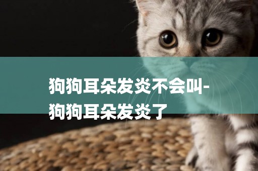 狗狗耳朵發炎不會叫-
狗狗耳朵發炎了