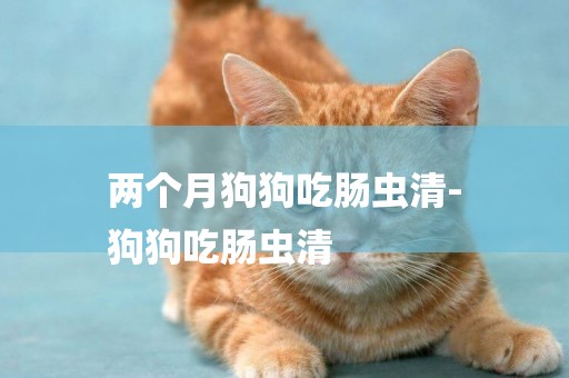 兩個月狗狗吃腸蟲清-
狗狗吃腸蟲清