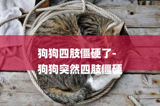狗狗四肢僵硬了-
狗狗突然四肢僵硬