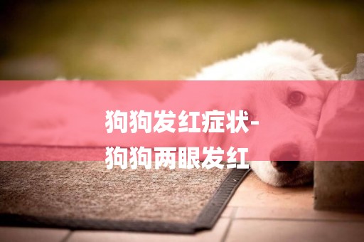 狗狗發紅癥狀-
狗狗兩眼發紅