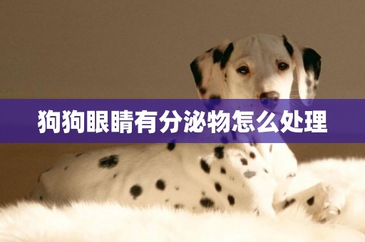 狗狗眼睛有分泌物怎么處理