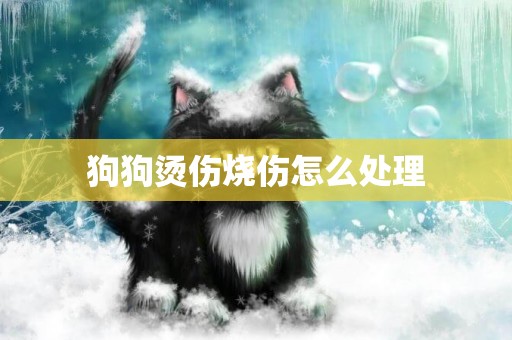 狗狗燙傷燒傷怎么處理