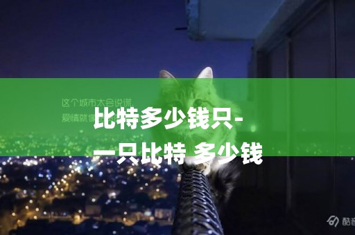 比特多少錢只-
一只比特 多少錢