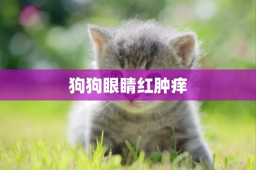 狗狗眼睛紅腫癢