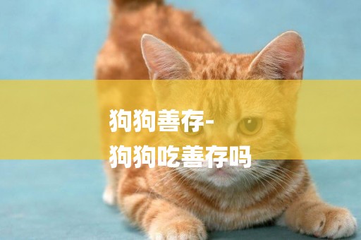 狗狗善存-
狗狗吃善存嗎