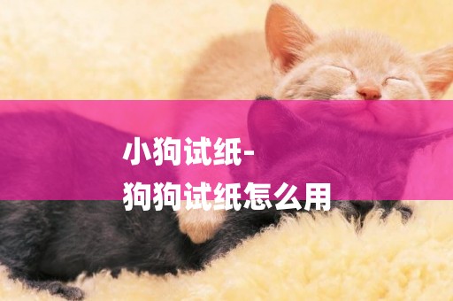 小狗試紙-
狗狗試紙怎么用