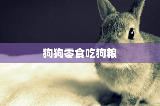 狗狗零食吃狗糧
