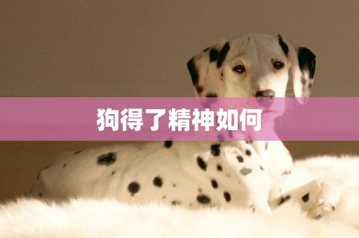 狗得了精神如何