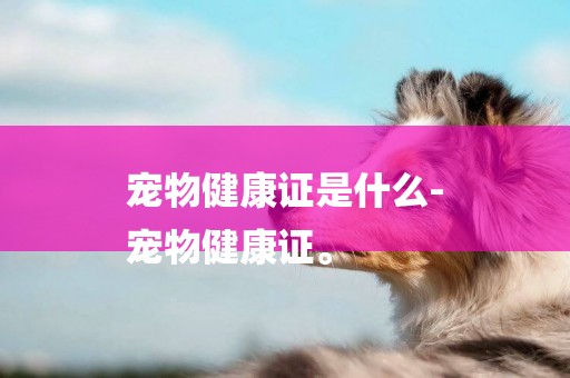 寵物健康證是什么-
寵物健康證。