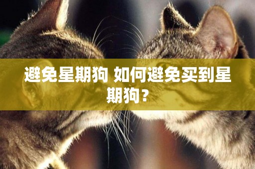 避免星期狗 如何避免買到星期狗？