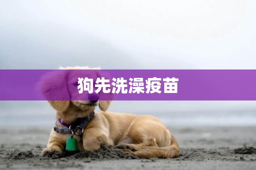 狗先洗澡疫苗