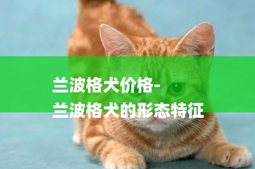 蘭波格犬價格-
蘭波格犬的形態特征